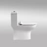 Bồn cầu 1 khối Bravat C21165XUW-3 2