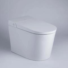 Bồn cầu thông minh Bravat C21295W-3-VP