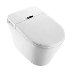 Bồn cầu thông minh Bravat C21323W-3-ENG