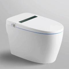 Bồn cầu thông minh Bravat C29001W1-3-VP