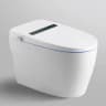 Bồn cầu thông minh Bravat C29001W1-3-VP 3