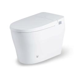 Bồn cầu thông minh Bravat C29019W0-3-2-ENG