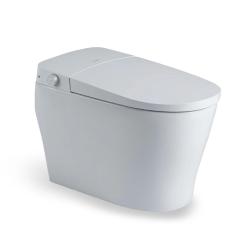 Bồn cầu thông minh Bravat C29020W1-3-4-ENG