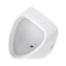Bồn tiểu nam treo tường Bravat C2512W-ENG 1