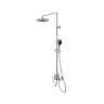 Sen cây tắm Bravat F6172217CP-A-ENG 1