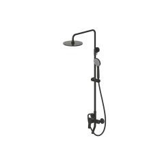 Ảnh Sen cây tắm Bravat F6429564BW-A-ENG 1