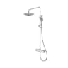 Sen cây tắm nhiệt độ Bravat F999153CP-A1-ENG 1