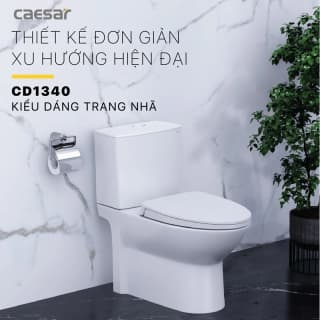 Ảnh Bồn cầu 2 khối Caesar CD1340 2