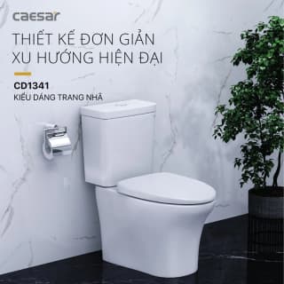 Ảnh Bồn cầu 2 khối Caesar CD1341 3