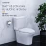 Bồn cầu 2 khối Caesar CD1341 3