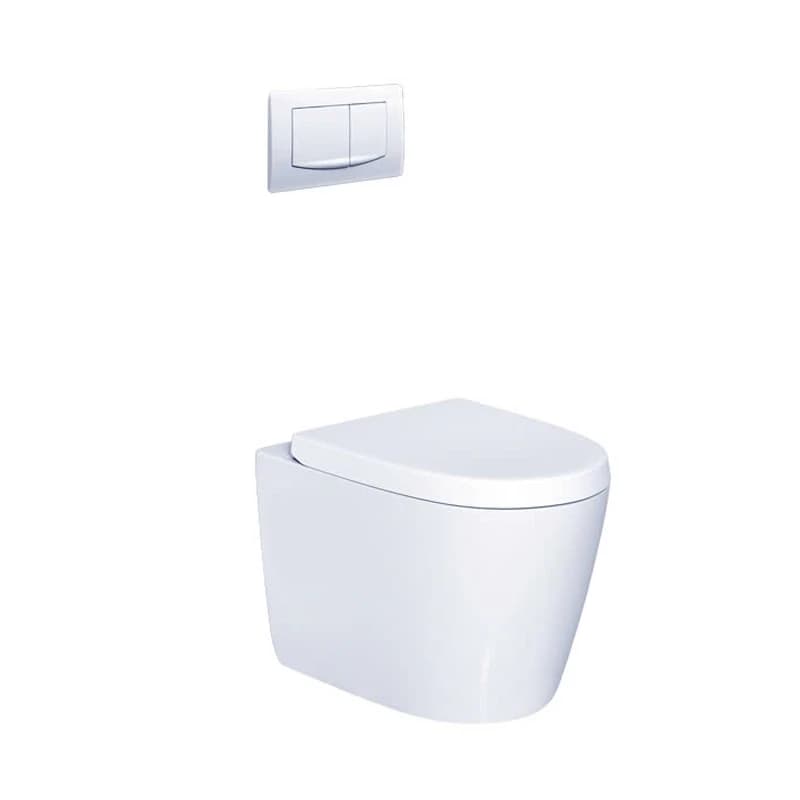 Bồn cầu âm tường Caesar CPT1505