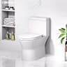 Bồn cầu 1 khối Caesar CD1374 4