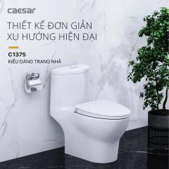 Ảnh Bồn cầu 1 khối Caesar CD1375 2