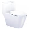 Bồn cầu thông minh Caesar C1363F + TAF060 1