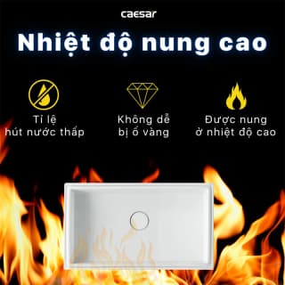 Ảnh Chậu rửa âm bàn Caesar LF5130 5