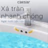 Chậu rửa treo tường Caesar L2220 4