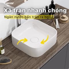 Ảnh Chậu rửa đặt bàn Caesar LF5256 4