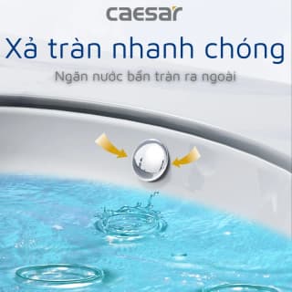 Ảnh Chậu rửa âm bàn Caesar L5113 2