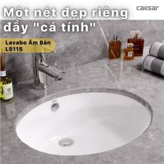 Ảnh Chậu rửa âm bàn Caesar L5115 3