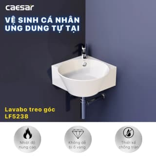 Ảnh Chậu rửa treo tường Caesar LF5238 3