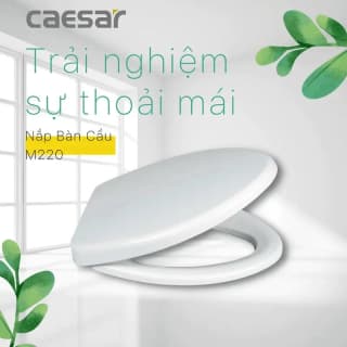 Ảnh Nắp bồn cầu Caesar M220 thường 2