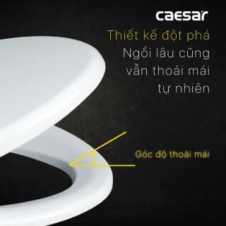 Ảnh Nắp bồn cầu Caesar M220 thường 3