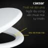 Nắp bồn cầu Caesar M220 thường 3
