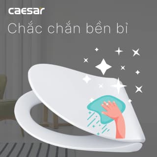 Ảnh Nắp bồn cầu Caesar M284 2