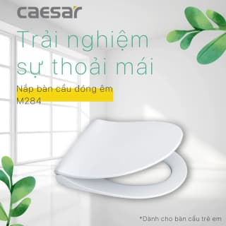 Ảnh Nắp bồn cầu Caesar M284 3