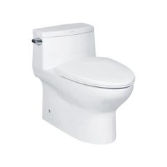 Ảnh Bồn cầu 1 khối COTTO C10127 1