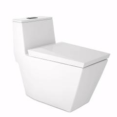 Bồn cầu 1 khối Cotto C102807