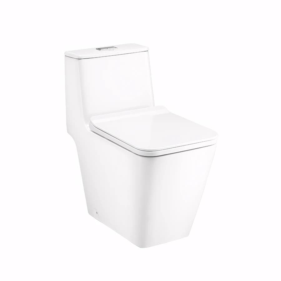 Bồn cầu 1 khối Cotto C10327+C91542