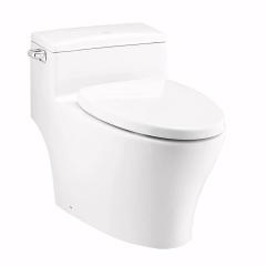 Bồn cầu 1 khối Cotto C10347