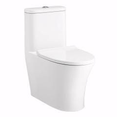 Bồn cầu 1 khối Cotto C11001HNOS