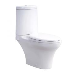 Ảnh Bồn cầu 2 khối COTTO C12027 1