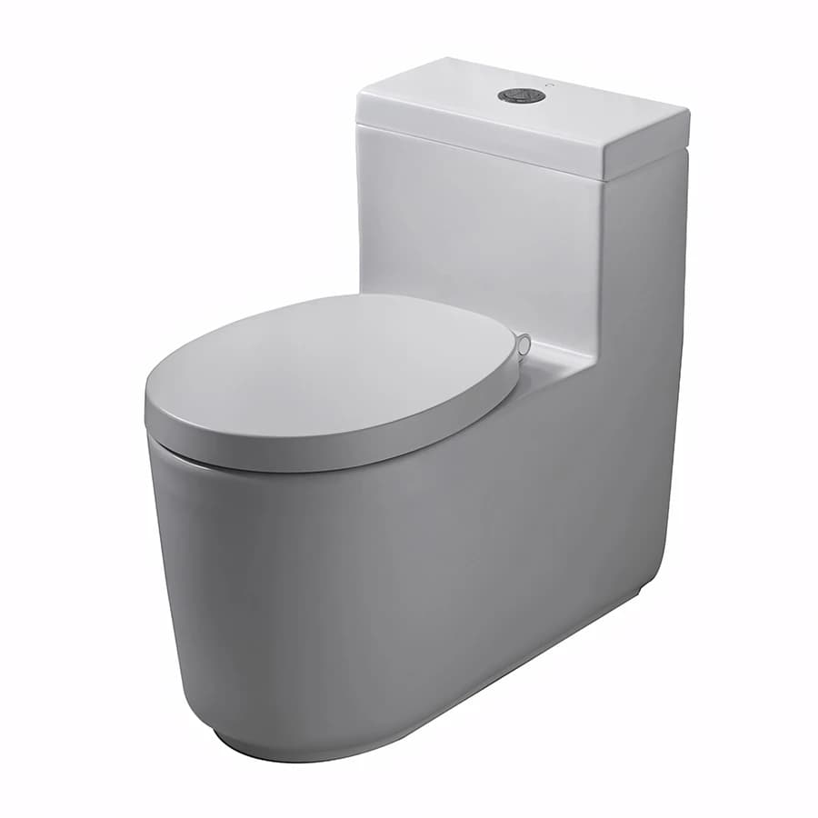 Bồn cầu 1 khối COTTO CPW10007/MWH#BN2