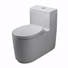 Ảnh Bồn cầu 1 khối COTTO CPW10007/MWH#GR2 1