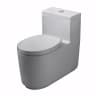 Bồn cầu 1 khối COTTO CPW10007/MWH#GR2 1