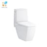 Bồn cầu 2 khối COTTO C13507 1