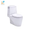 Bồn cầu 2 khối COTTO C13527 1