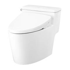 Ảnh Bồn cầu nắp điện tử Cotto C105267(CV10) 2