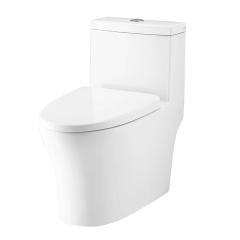 Ảnh Bồn cầu 1 khối Cotto C11004HOS 3