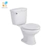 Bồn cầu 2 khối COTTO C1371 1
