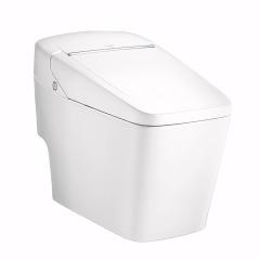 Bồn cầu điện tử Cotto C10217