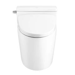 Ảnh Bồn cầu nắp điện tử Cotto C105267(CV10) 3