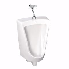 Ảnh Bồn tiểu nam treo tường Cotto C3010 (N1) 1