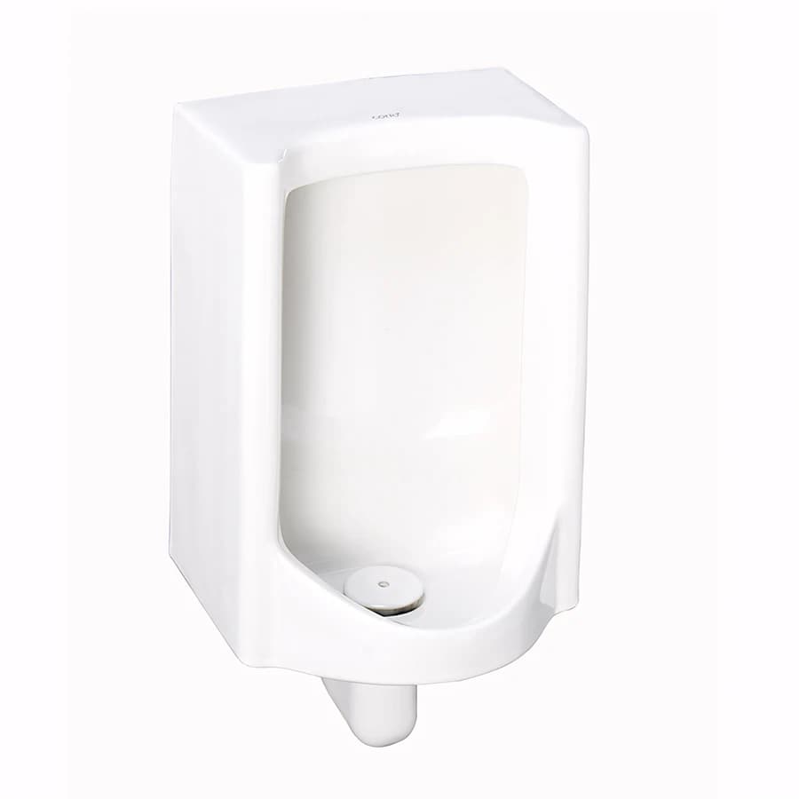 Bồn tiểu nam treo tường Cotto C313BI