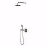 Sen tắm âm tường COTTO CPF301H1H2#BN2 1