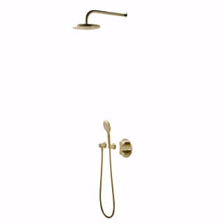 Ảnh Sen tắm âm tường COTTO CPF301H1H2#GR2 1