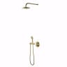 Sen tắm âm tường COTTO CPF301H1H2#GR2 1